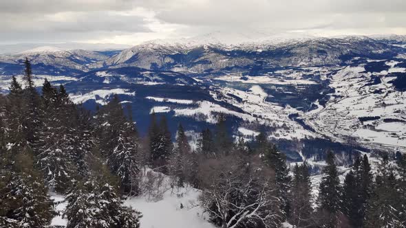 Motion shot moving up steep hills close to snow covered pine and spruce forest - Voss in the backgro