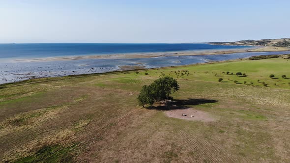 Aerial view of the coastline of Sejerøbugten with hills, trees and ocean.