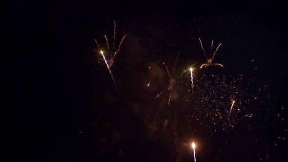 Colorful Firework display at night on sky background