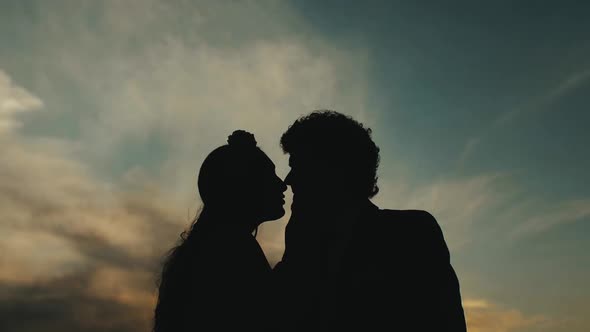 Silhouette of Loving Couple Holding Each Other Hands and Kissing on the Beach During Sunset Slow