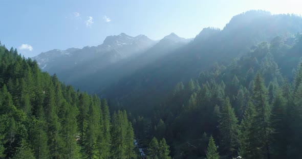 Moving Up Away Above Pine Woods Forest and Mountain Valley with Sun Flare in Summer