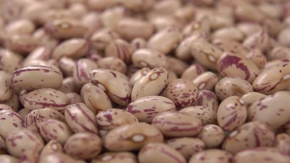 Raw uncooked red cranberry beans fall in a heap in slow motion