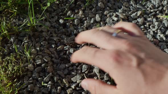 Feeling garden gravel stone with soil removing roots