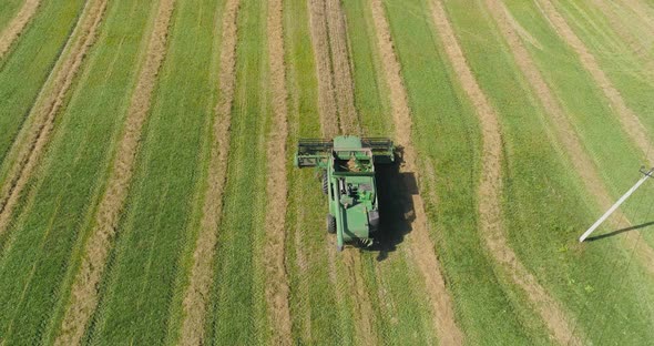 Combine Harvester on Wheat Field