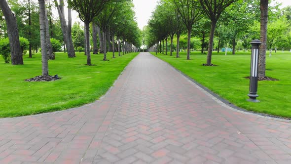 Moving Forward on a Cobblestone Walkway in a Park