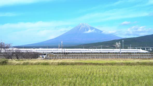 Shinkansen train. Fast bullet train, driving and passing Mountain Fuji and green rice field, Japan.