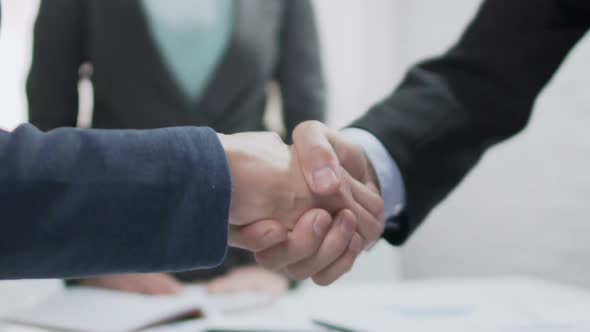 Male and Female Partners Shaking Hands, Come to Agreement, Diplomatic Relations