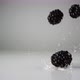 Blackberries falling on water surface. Slow Motion. - VideoHive Item for Sale