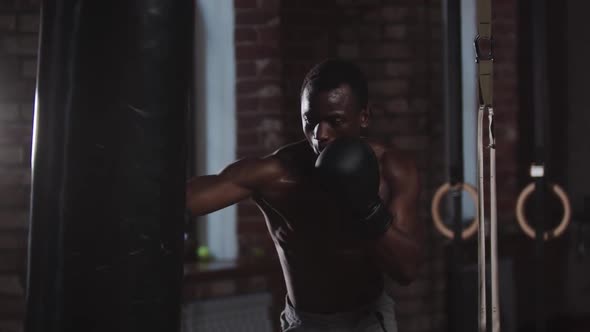 Gym Training  a Black Handsome Man Punching the Punching Bag