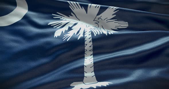 South Carolina state flag waving background