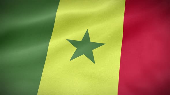 Senegal Flag