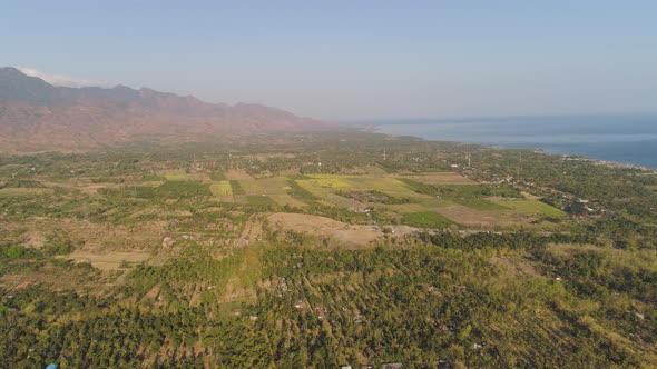 Agricultural Land in Indonesia