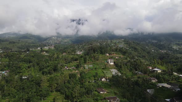 Aerial view of foggy mist tea plantation in Indonesia