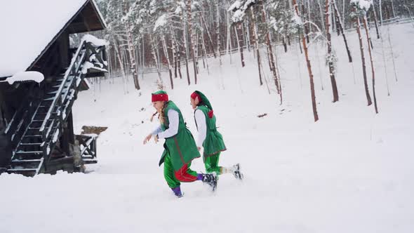 Two Fabulous Elves in Green Suits Ran Into the Hut