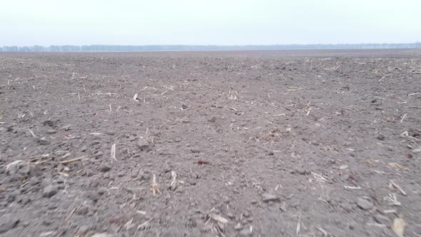 Land in a Plowed Field in Autumn