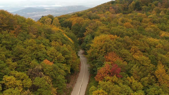 Flight Over An Asphalt Road In The Middle Of An Autumn Forest 1