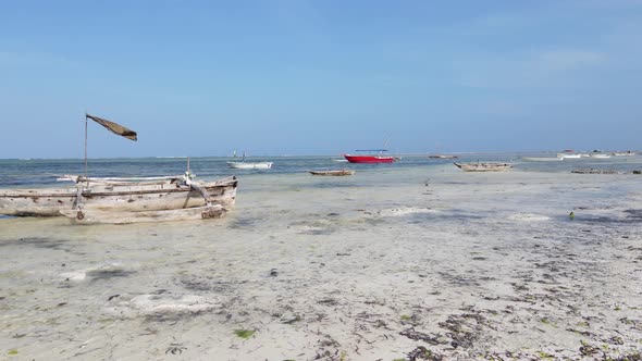 Ocean Low Tide Near the Coast of Zanzibar Island Tanzania