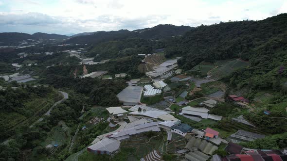 Cameron Highlands, Pahang Malaysia