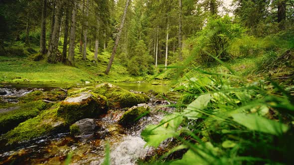 Stream Flowing Down A Stony Path