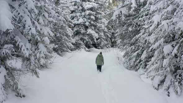 Back view of adult woman walking in winter forest