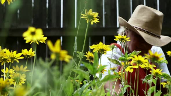 Farm Woman Sitting And Removing Weeds Growing With The Lovely Flowers Of Black-eyed Susan In The Gar