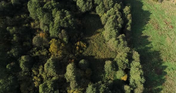 Wild river overgrown with trees and bushes near meadows northern Poland Europe