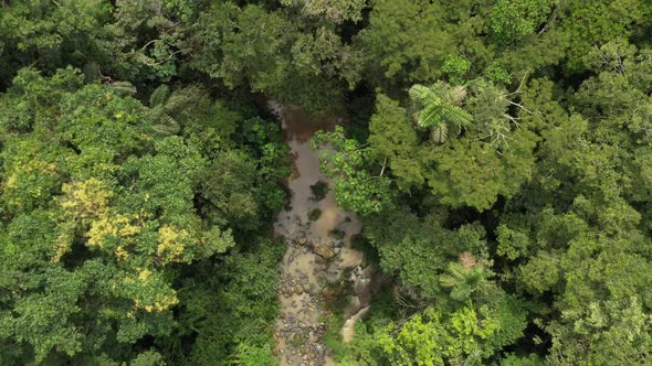 Aerial view of tropical stream, moving up to reveal surroundings