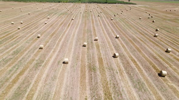 Aerial View to Golden Field with Roll Bales of Wheat Straw