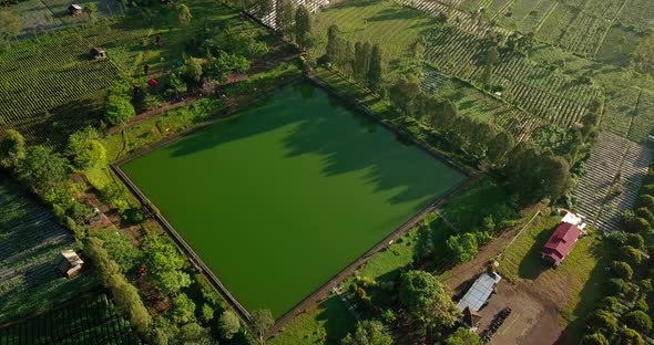 Artificial lake as water supplies for agriculture in the middle of tobbaco plantation and trees. It