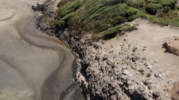 Rugged Landscape At Bethells Beach, North Island, New Zealand - aerial drone shot