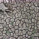 Cracked Land - VideoHive Item for Sale