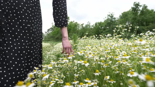 girl with suitcase in chamomiles flowers meadow in summer time