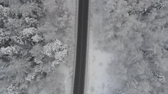 Top down aerial shot of road in snow covered forest trees.