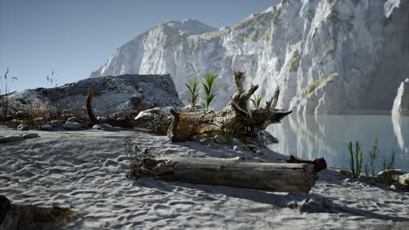 White Sand Beach Near Rocky Cliffs at Ocean