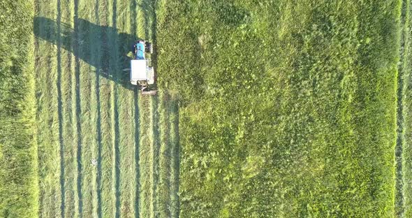 Haymaker with Mower Moves Mowing Grown Grass on Field