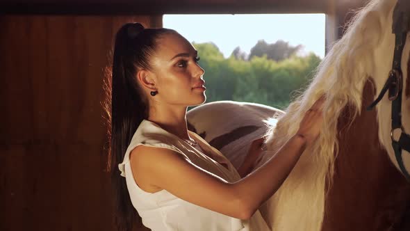 Young Woman Brunette with Long Hair in Ponytail Pets Horse