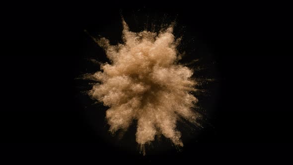 Colorful powder/particles fly after being exploded against black background. Slow Motion.