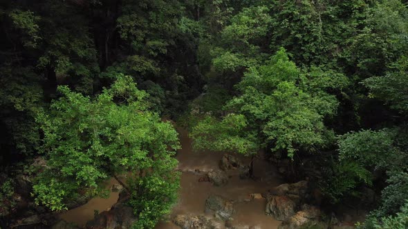 Brown Water flowing down a Rocky Stream amidst Dense Lush Green Rainforest Rainy Season