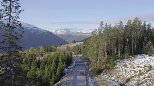 Car Driving Through a Forest in the Winter