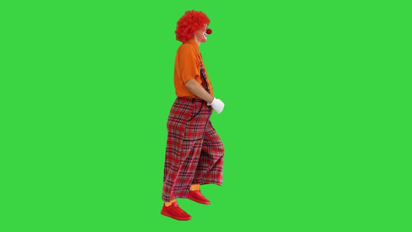 Funny Clown with Red Hair Walking Comically on a Green Screen Chroma Key