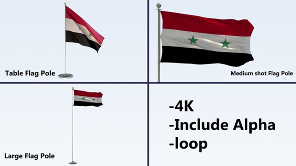 Syria Flag Pole Pack 4k-Loop