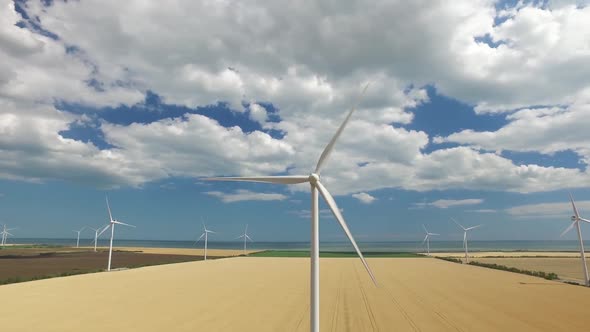 Wind Farms on the Background of Yellow and Green Fields Near the Sea