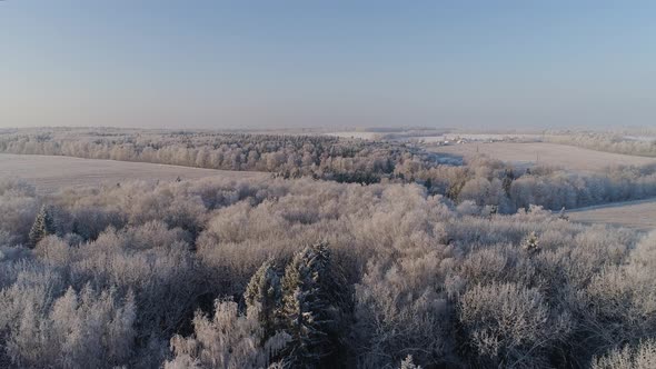 Winter Landscape Countryside