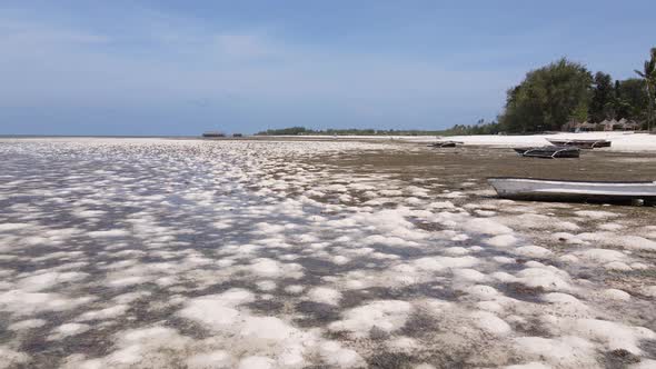 Low Tide in the Ocean Near the Coast of Zanzibar Tanzania Slow Motion