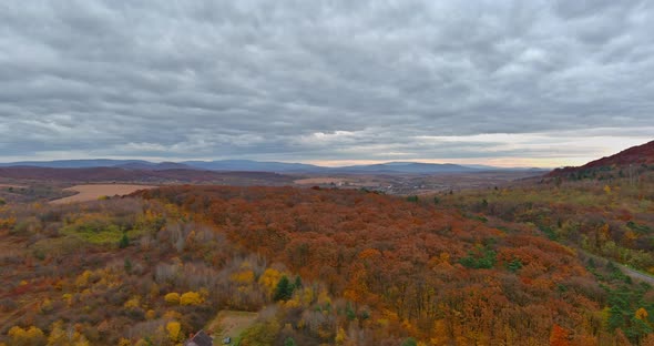 Picturesque Autumn Forest From the Height of the Mountains Landscapes