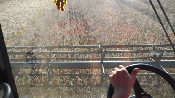 Hand of Farmer Holding Steering Wheel and Controlling Combine During Harvest