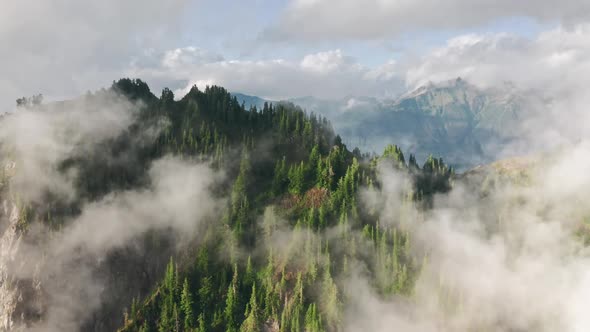 Foggy Green Pine Forest Sunset Rays Shining on Clouds Pure Nature Mountains