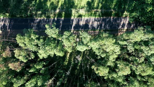 Rural landscape aerial view. Nature scenery