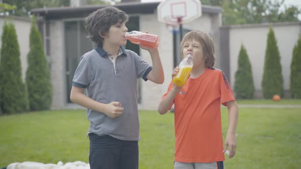 Two Happy Caucasian Boys Drinking Healthful Refreshing Juice Outdoors. Portrait of Siblings or