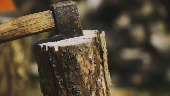 Afternoon standing footage from the firewood cut scene with impacted axe at home.